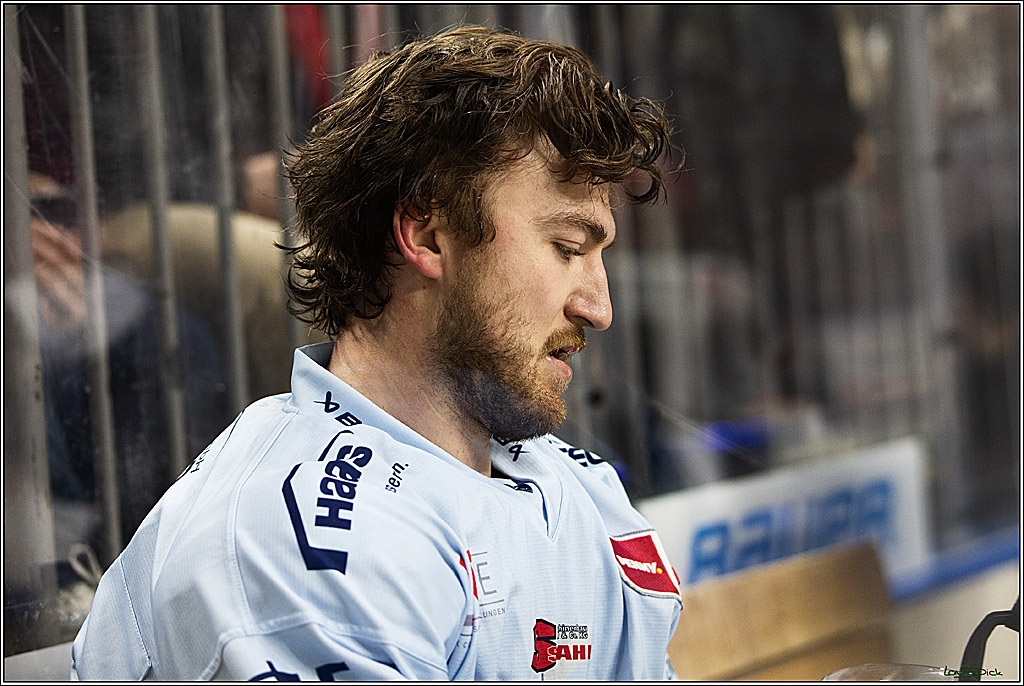 PENNY DEL; Koelner Haie-Straubing Tigers; Koeln, 24.11.2023