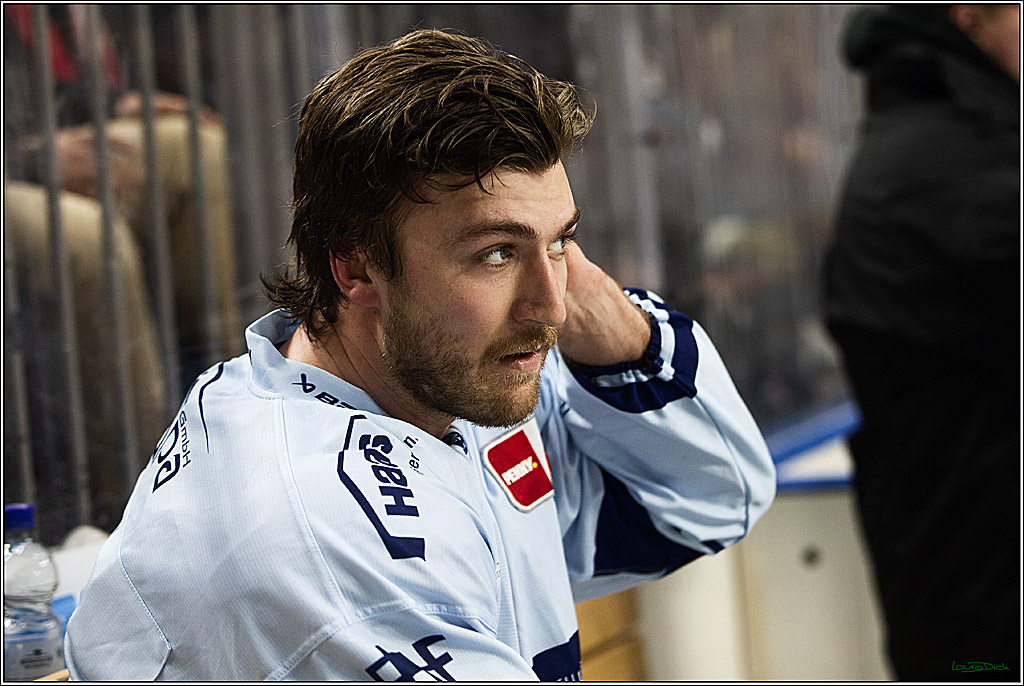 PENNY DEL; Koelner Haie-Straubing Tigers; Koeln, 24.11.2023