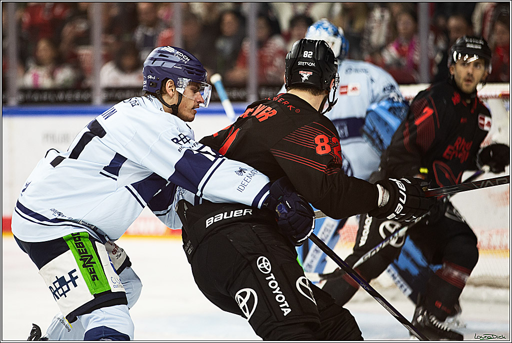 PENNY DEL; Koelner Haie-Straubing Tigers; Koeln, 24.11.2023