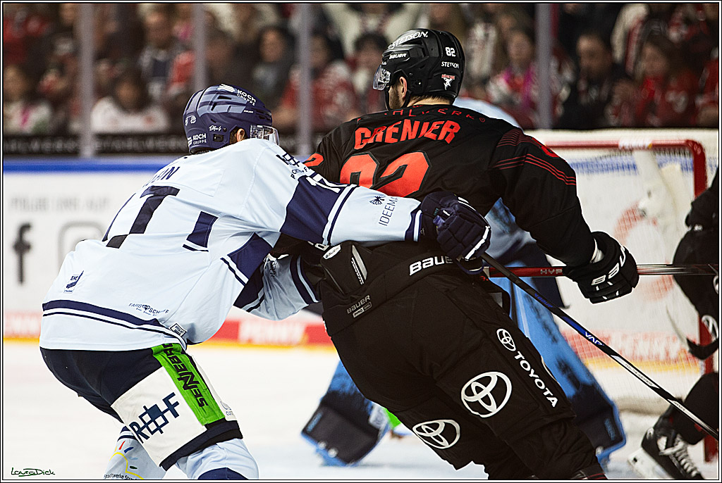 PENNY DEL; Koelner Haie-Straubing Tigers; Koeln, 24.11.2023