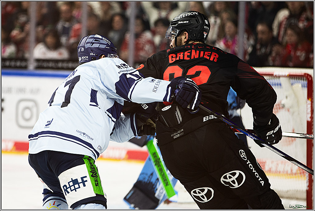 PENNY DEL; Koelner Haie-Straubing Tigers; Koeln, 24.11.2023