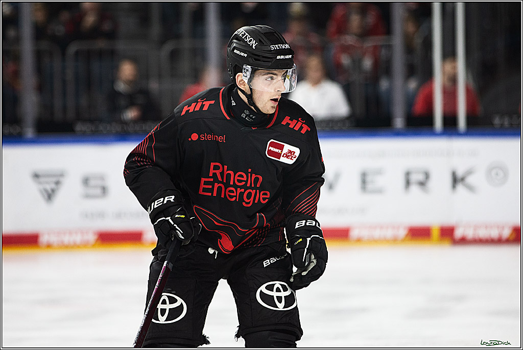 PENNY DEL; Koelner Haie-Straubing Tigers; Koeln, 24.11.2023