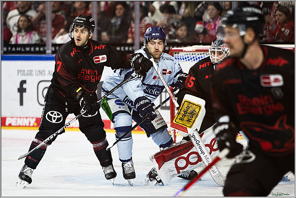 PENNY DEL; Koelner Haie-Straubing Tigers; Koeln, 24.11.2023