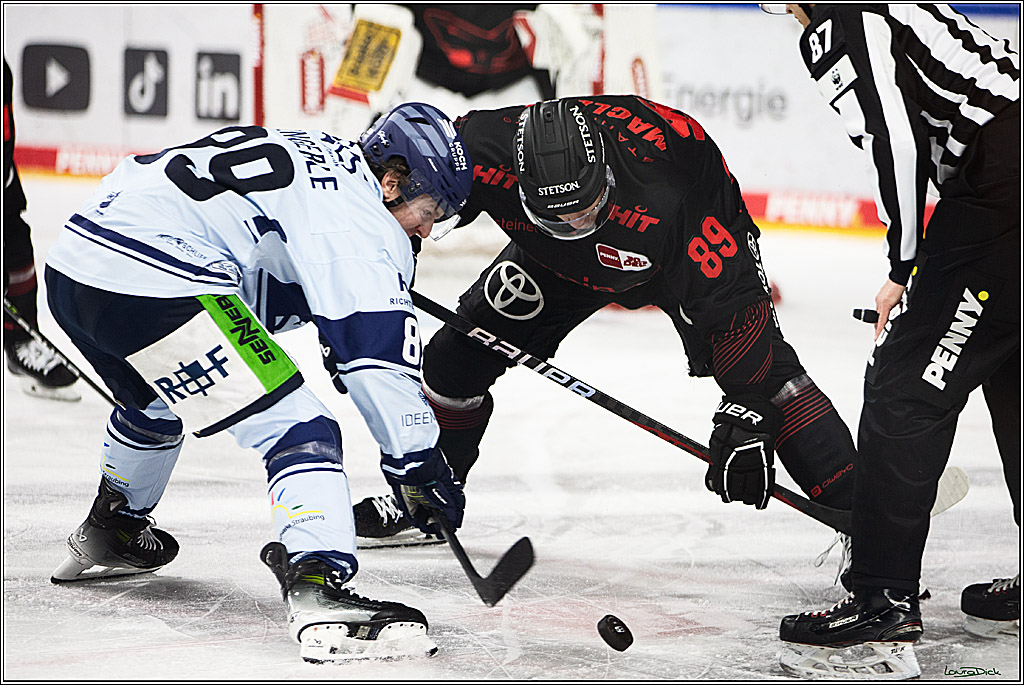 PENNY DEL; Koelner Haie-Straubing Tigers; Koeln, 24.11.2023