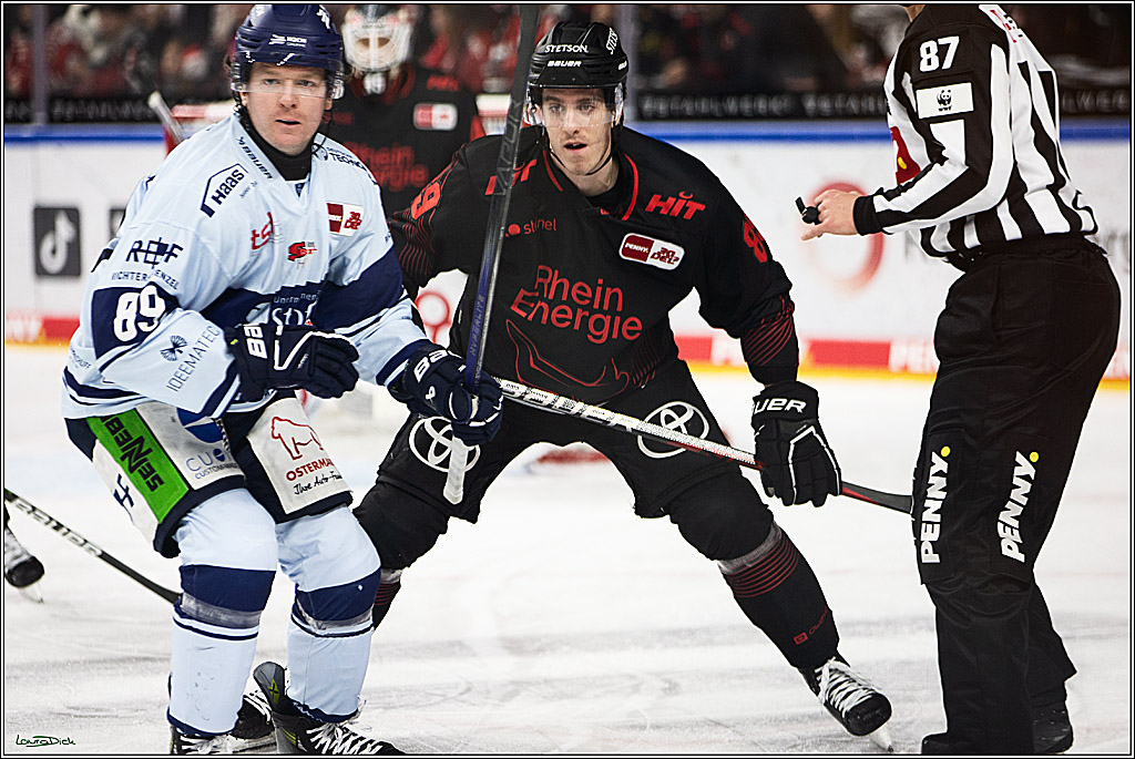 PENNY DEL; Koelner Haie-Straubing Tigers; Koeln, 24.11.2023