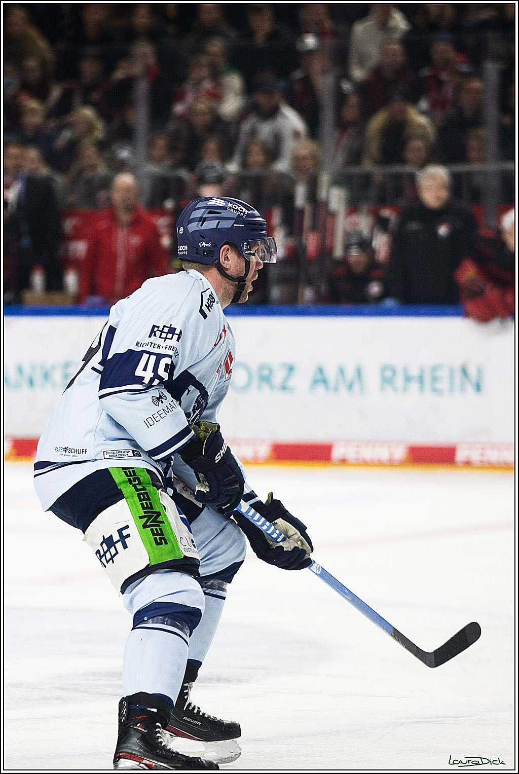 PENNY DEL; Koelner Haie-Straubing Tigers; Koeln, 24.11.2023