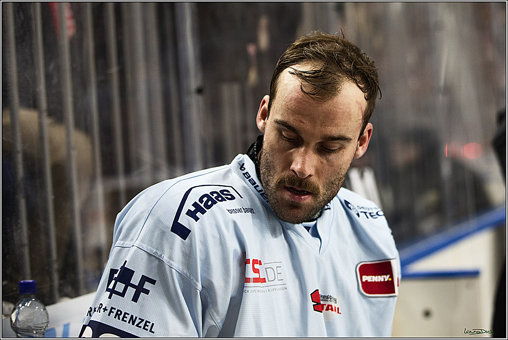 PENNY DEL; Koelner Haie-Straubing Tigers; Koeln, 24.11.2023