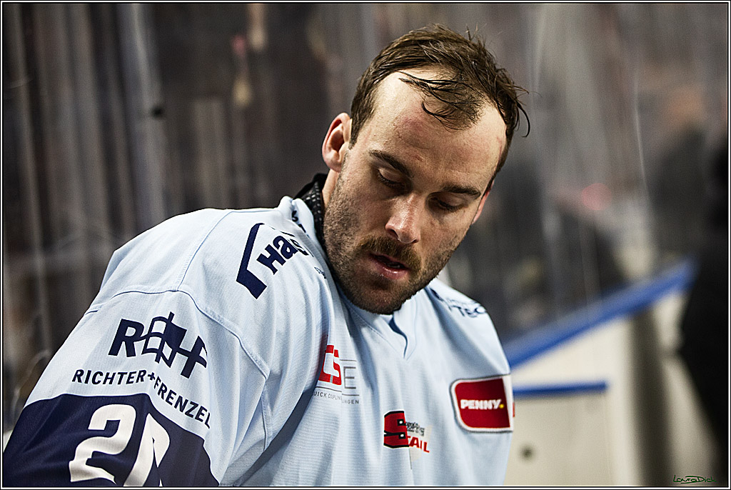 PENNY DEL; Koelner Haie-Straubing Tigers; Koeln, 24.11.2023