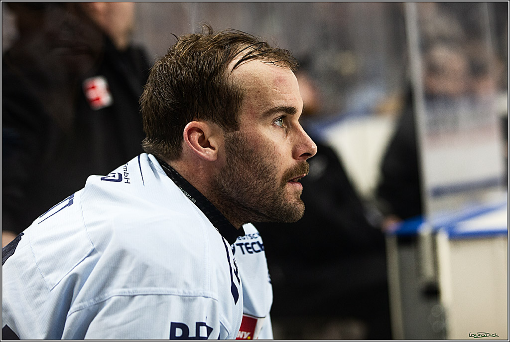 PENNY DEL; Koelner Haie-Straubing Tigers; Koeln, 24.11.2023