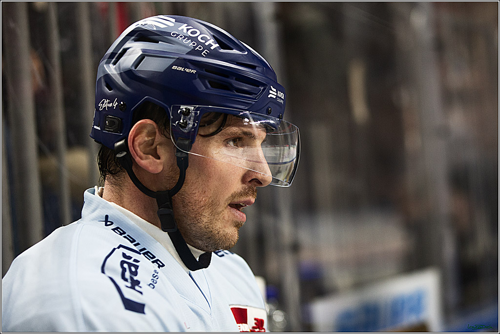 PENNY DEL; Koelner Haie-Straubing Tigers; Koeln, 24.11.2023
