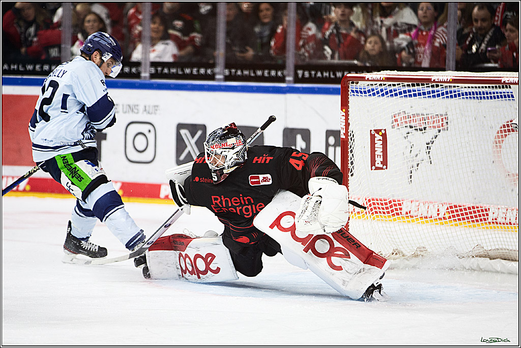 PENNY DEL; Koelner Haie-Straubing Tigers; Koeln, 24.11.2023