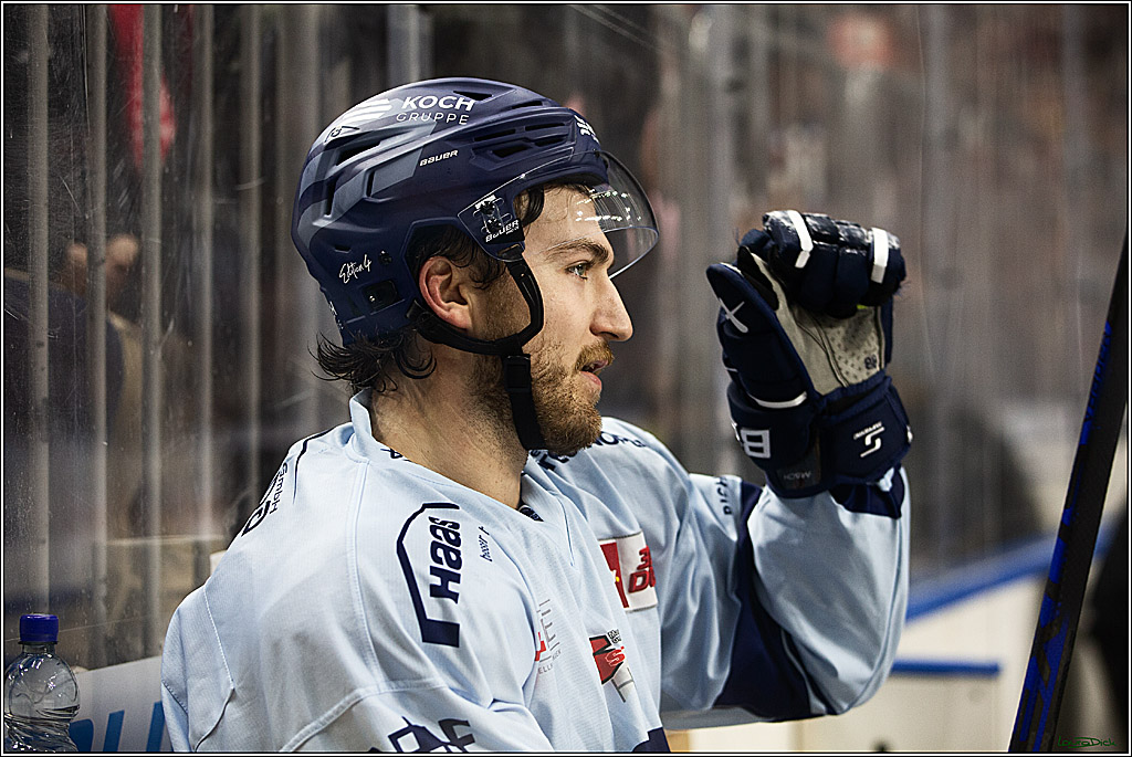 PENNY DEL; Koelner Haie-Straubing Tigers; Koeln, 24.11.2023