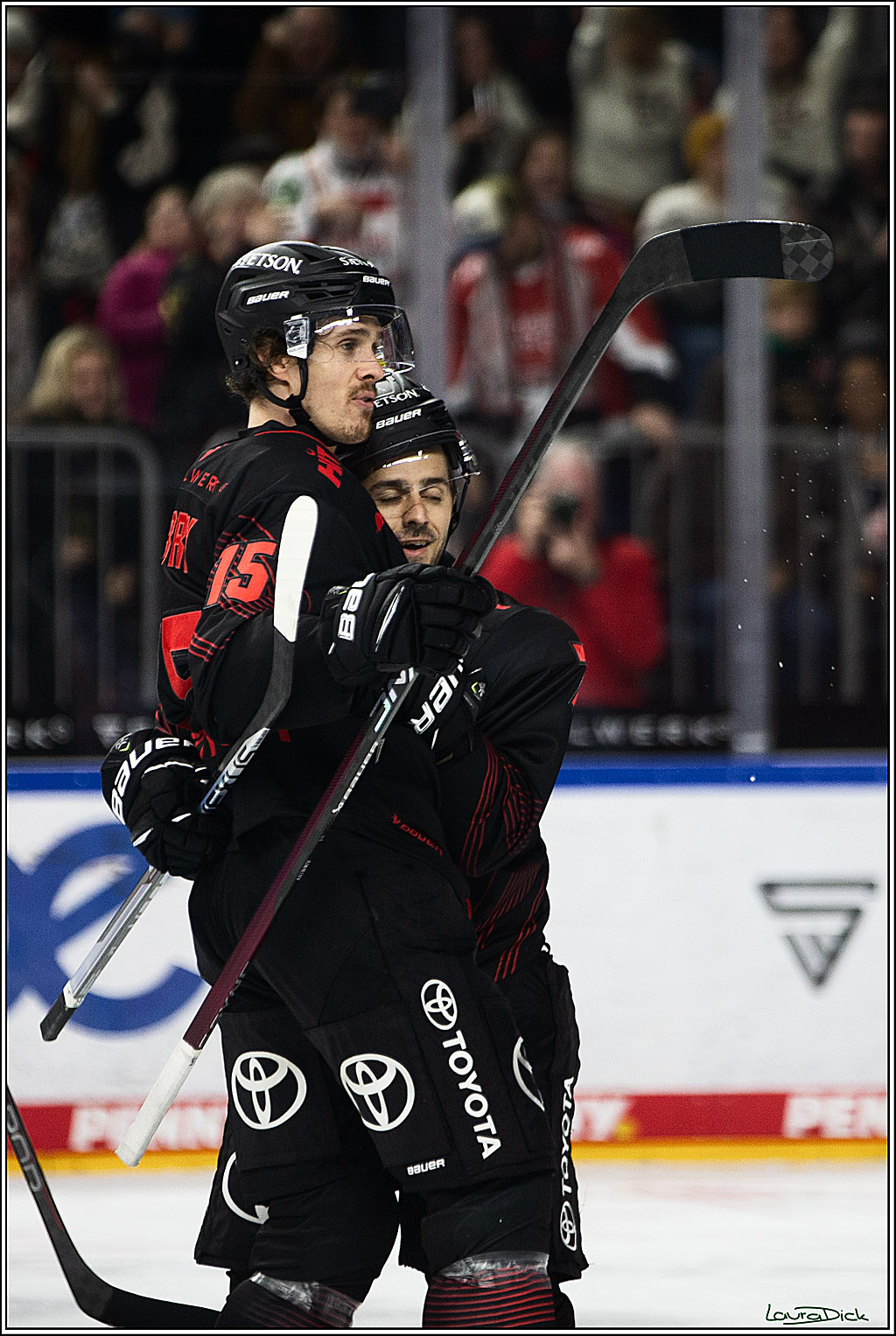 PENNY DEL; Koelner Haie-Straubing Tigers; Koeln, 24.11.2023