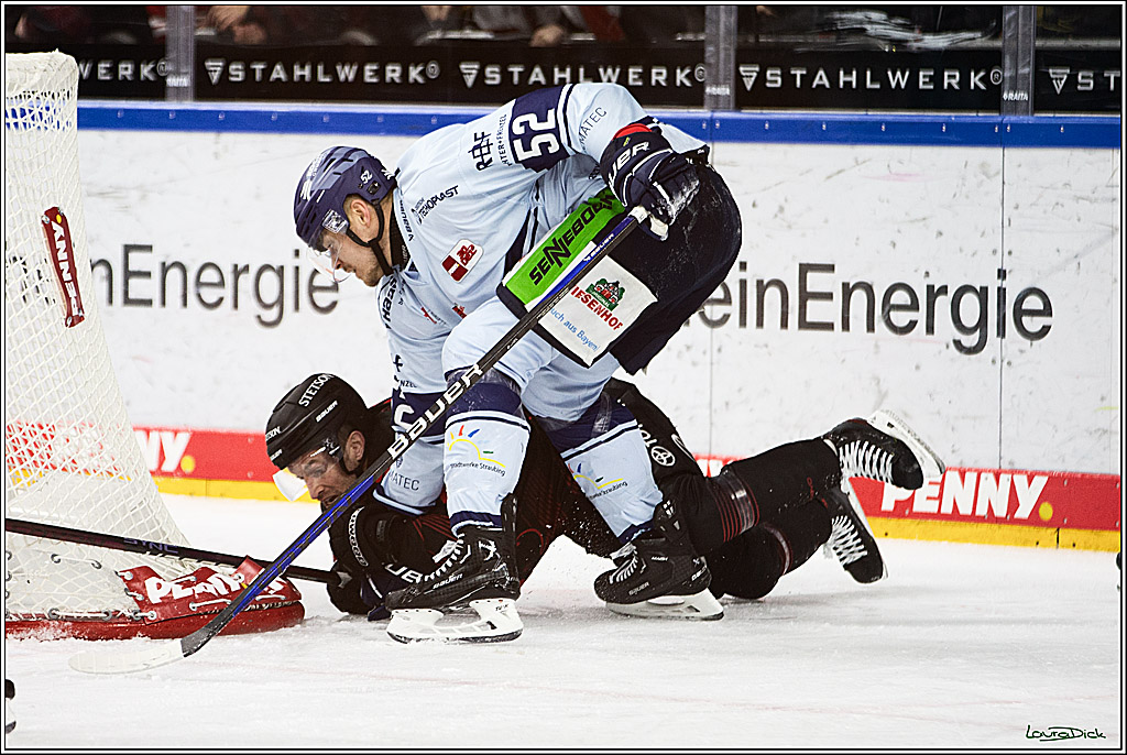 PENNY DEL; Koelner Haie-Straubing Tigers; Koeln, 24.11.2023