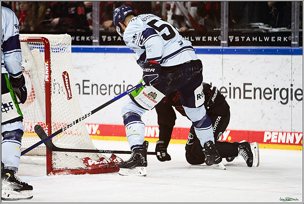 PENNY DEL; Koelner Haie-Straubing Tigers; Koeln, 24.11.2023