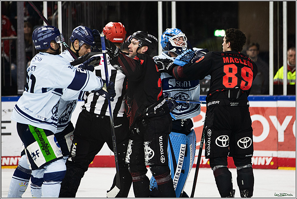 PENNY DEL; Koelner Haie-Straubing Tigers; Koeln, 24.11.2023