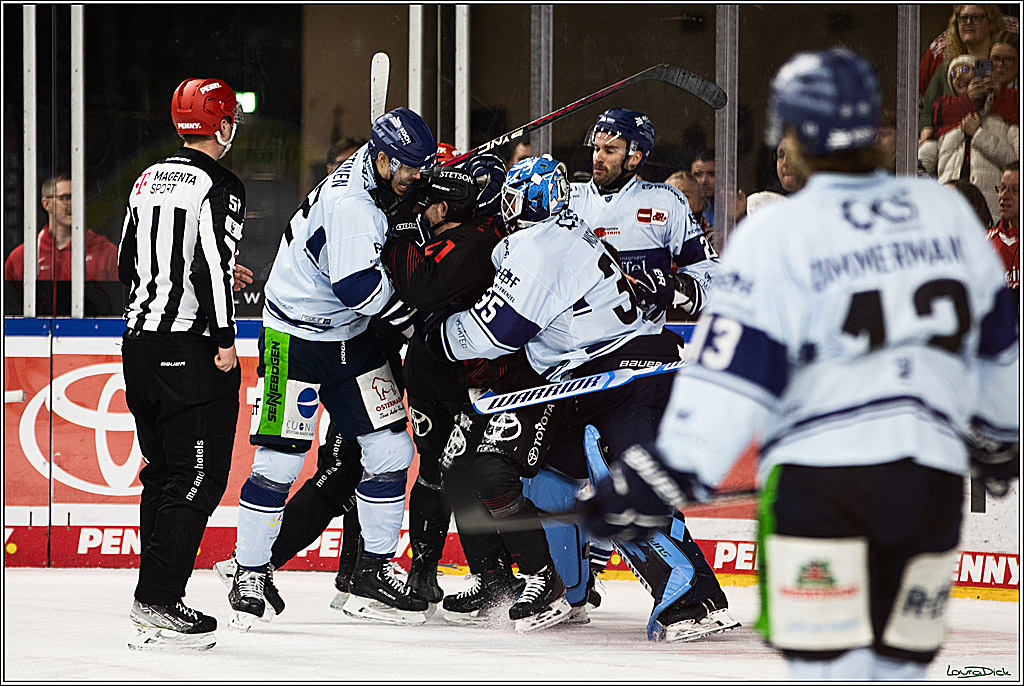 PENNY DEL; Koelner Haie-Straubing Tigers; Koeln, 24.11.2023