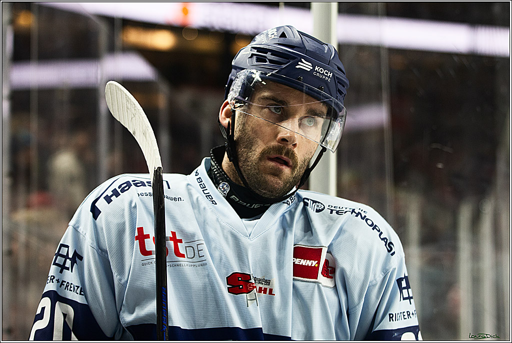 PENNY DEL; Koelner Haie-Straubing Tigers; Koeln, 24.11.2023