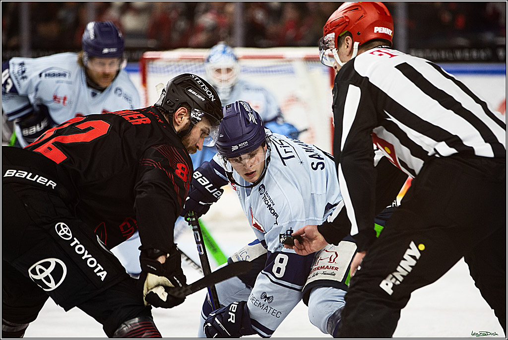 PENNY DEL; Koelner Haie-Straubing Tigers; Koeln, 24.11.2023