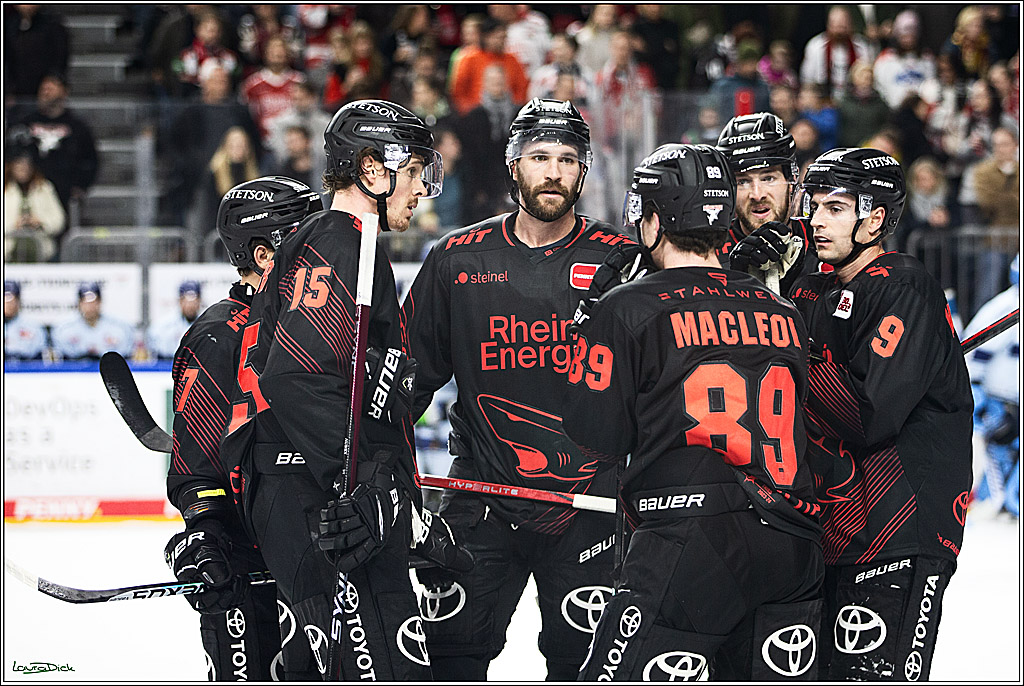 PENNY DEL; Koelner Haie-Straubing Tigers; Koeln, 24.11.2023