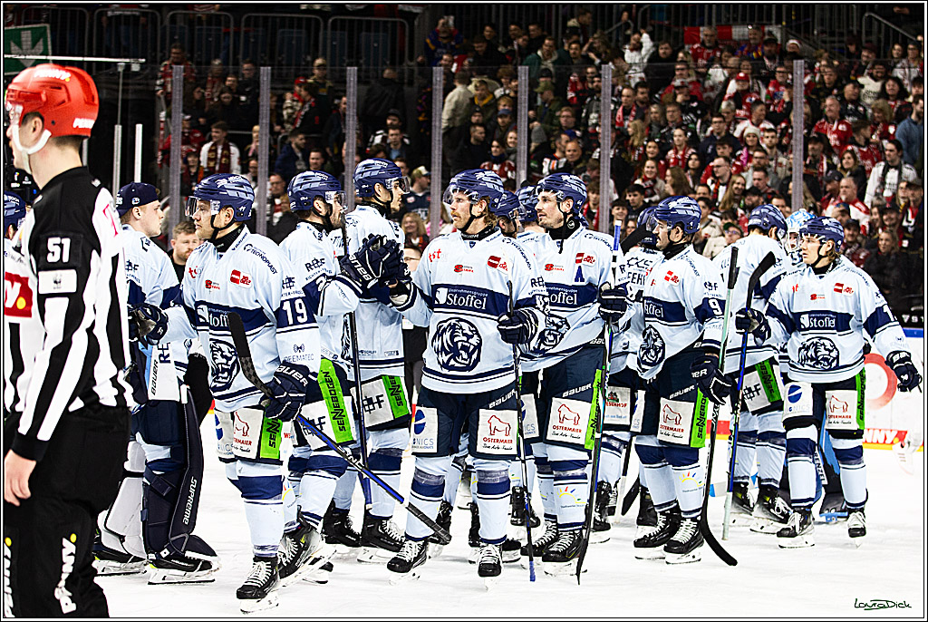 PENNY DEL; Koelner Haie-Straubing Tigers; Koeln, 24.11.2023
