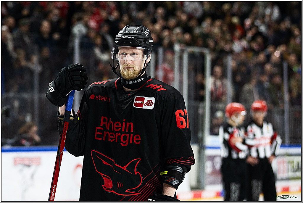 PENNY DEL; Koelner Haie-Straubing Tigers; Koeln, 24.11.2023