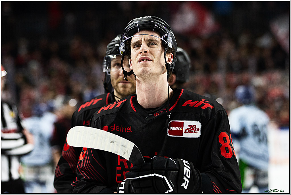 PENNY DEL; Koelner Haie-Straubing Tigers; Koeln, 24.11.2023