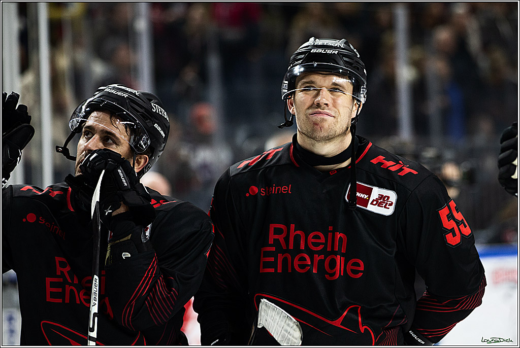PENNY DEL; Koelner Haie-Straubing Tigers; Koeln, 24.11.2023