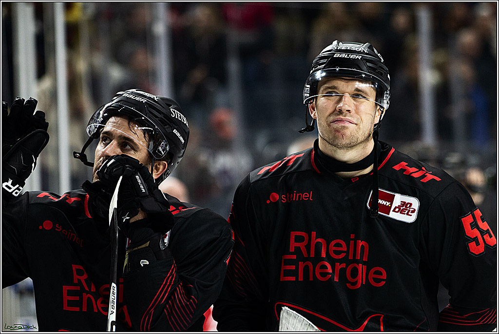 PENNY DEL; Koelner Haie-Straubing Tigers; Koeln, 24.11.2023