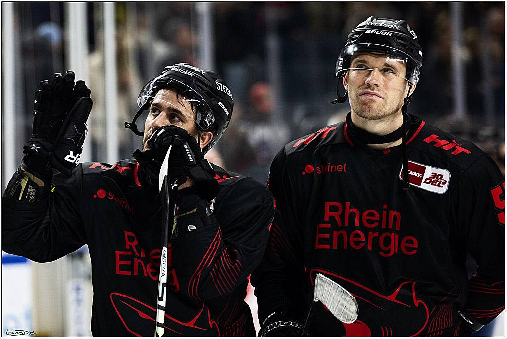 PENNY DEL; Koelner Haie-Straubing Tigers; Koeln, 24.11.2023