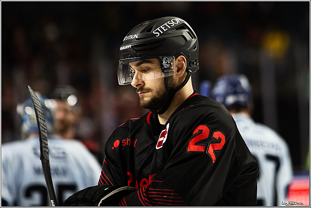 PENNY DEL; Koelner Haie-Straubing Tigers; Koeln, 24.11.2023