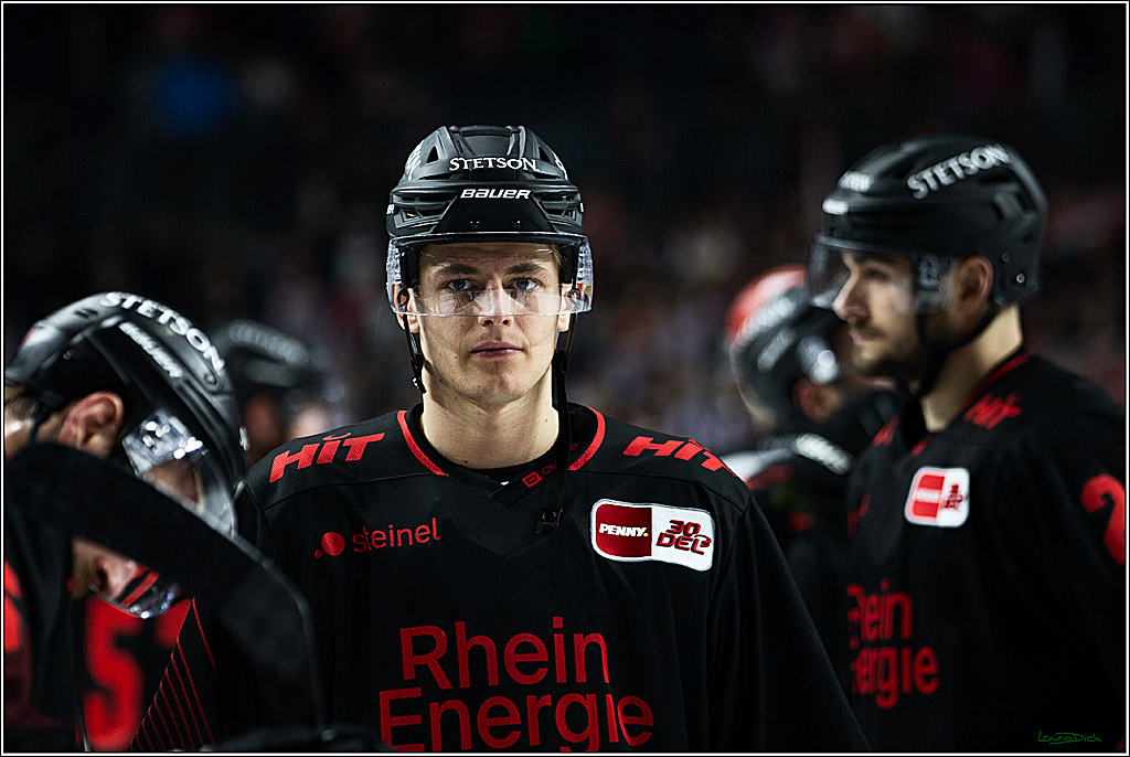 PENNY DEL; Koelner Haie-Straubing Tigers; Koeln, 24.11.2023