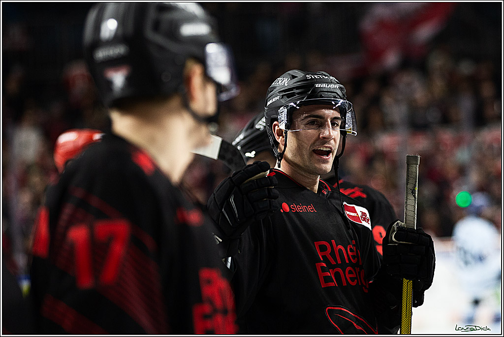 PENNY DEL; Koelner Haie-Straubing Tigers; Koeln, 24.11.2023