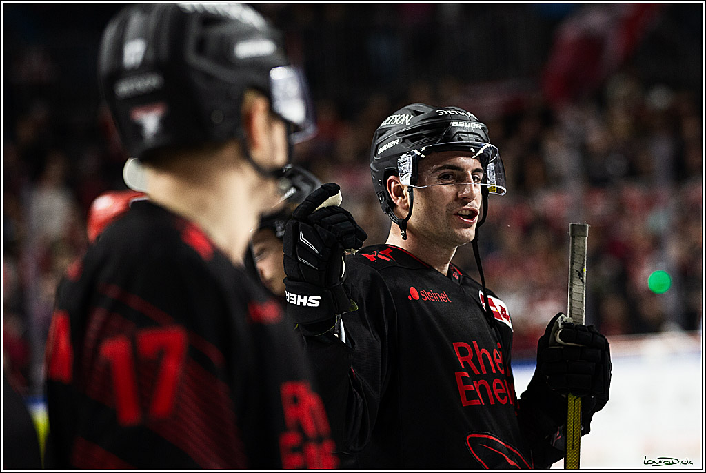 PENNY DEL; Koelner Haie-Straubing Tigers; Koeln, 24.11.2023