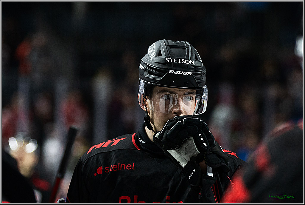 PENNY DEL; Koelner Haie-Straubing Tigers; Koeln, 24.11.2023