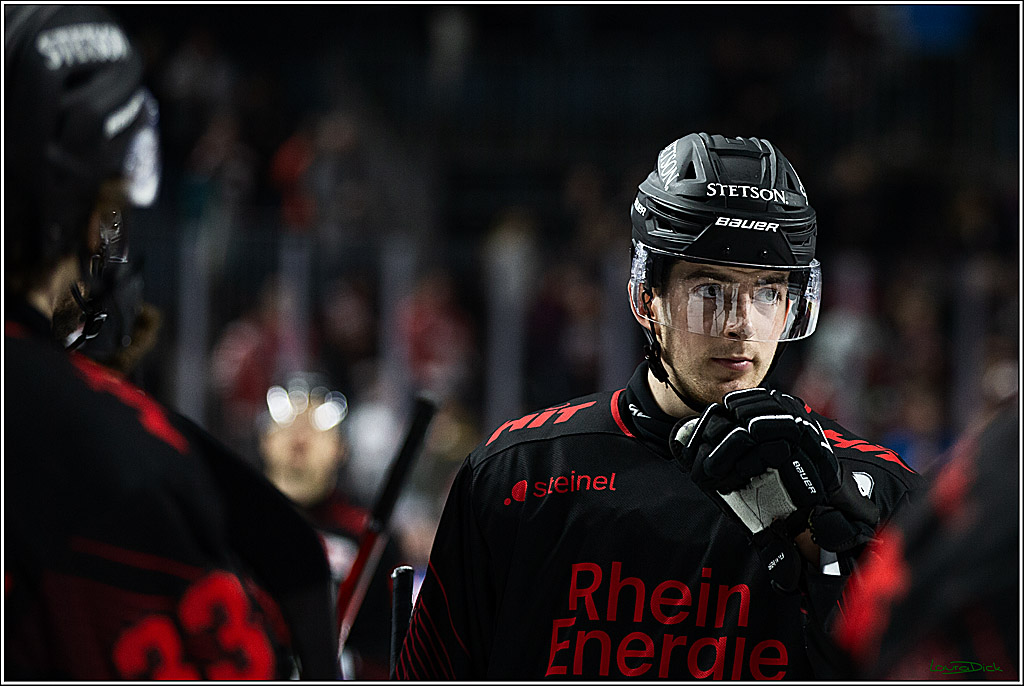 PENNY DEL; Koelner Haie-Straubing Tigers; Koeln, 24.11.2023