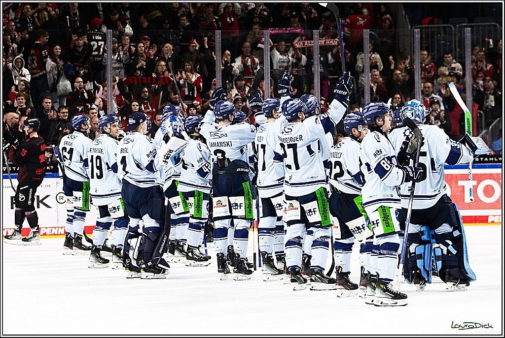 PENNY DEL; Koelner Haie-Straubing Tigers; Koeln, 24.11.2023
