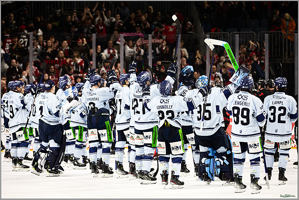 PENNY DEL; Koelner Haie-Straubing Tigers; Koeln, 24.11.2023