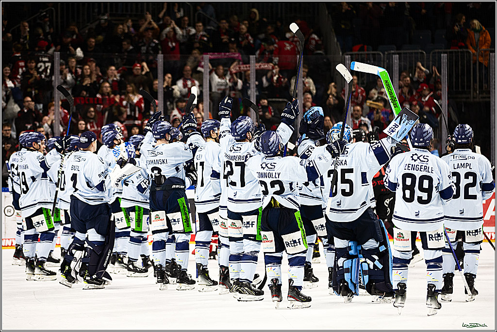 PENNY DEL; Koelner Haie-Straubing Tigers; Koeln, 24.11.2023