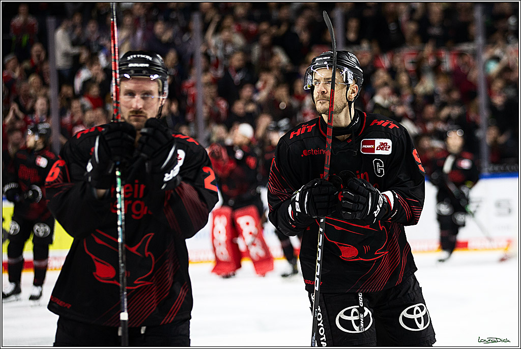 PENNY DEL; Koelner Haie-Straubing Tigers; Koeln, 24.11.2023