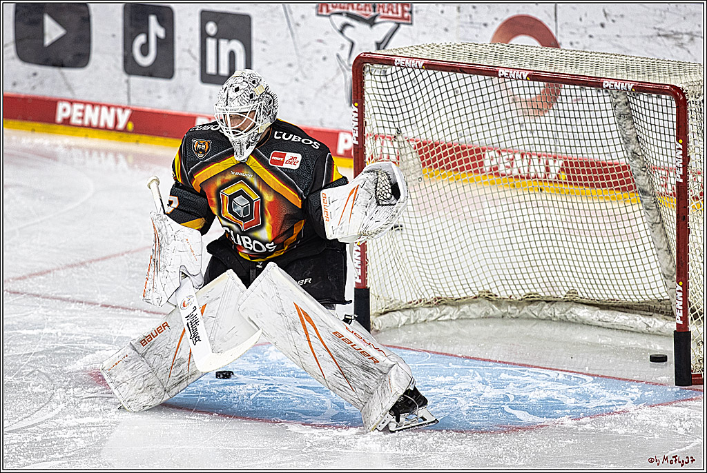 PENNY DEL 1. Koelner Haie - Grizzlys Wolfsburg; Koeln, 28.11.2023