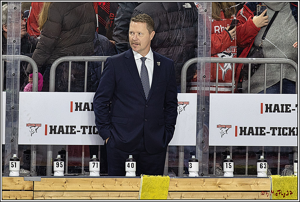 PENNY DEL 1. Koelner Haie - Grizzlys Wolfsburg; Koeln, 28.11.2023