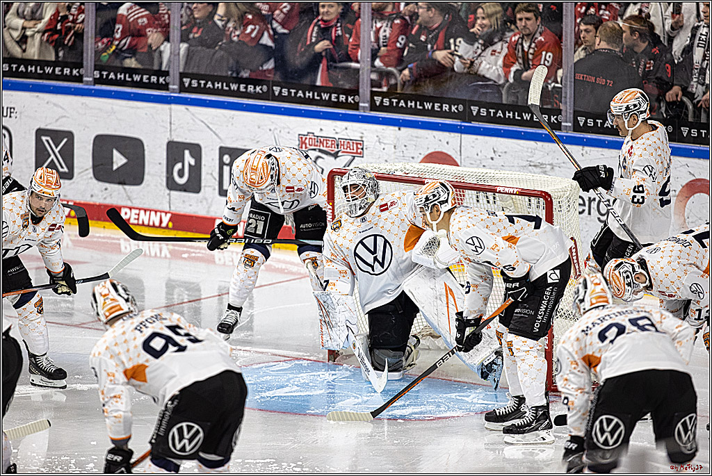 PENNY DEL 1. Koelner Haie - Grizzlys Wolfsburg; Koeln, 28.11.2023