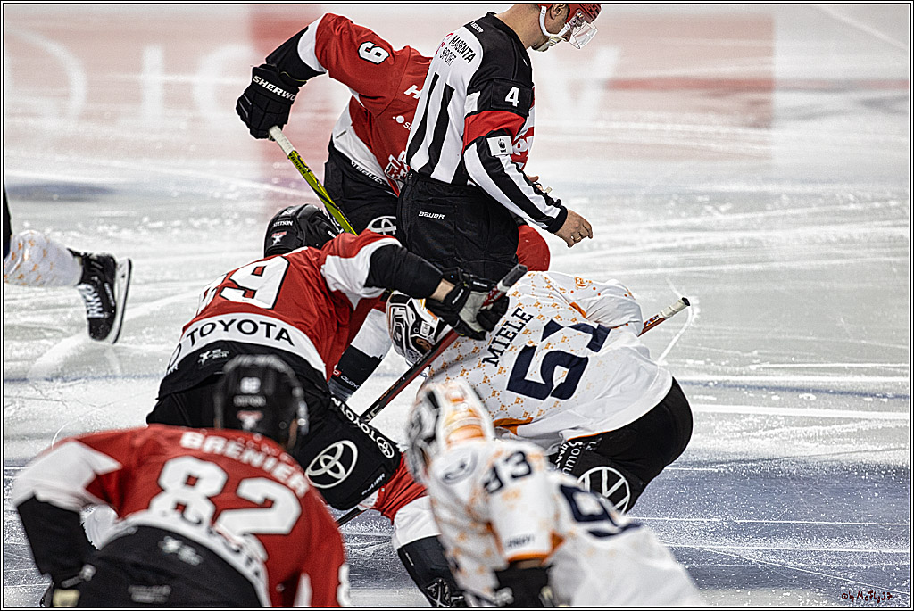PENNY DEL 1. Koelner Haie - Grizzlys Wolfsburg; Koeln, 28.11.2023