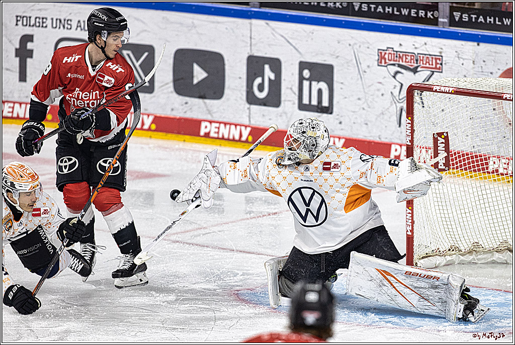 PENNY DEL 1. Koelner Haie - Grizzlys Wolfsburg; Koeln, 28.11.2023