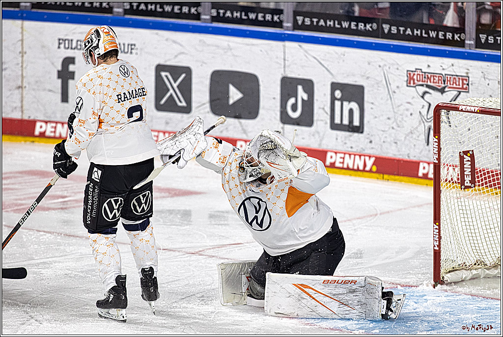 PENNY DEL 1. Koelner Haie - Grizzlys Wolfsburg; Koeln, 28.11.2023