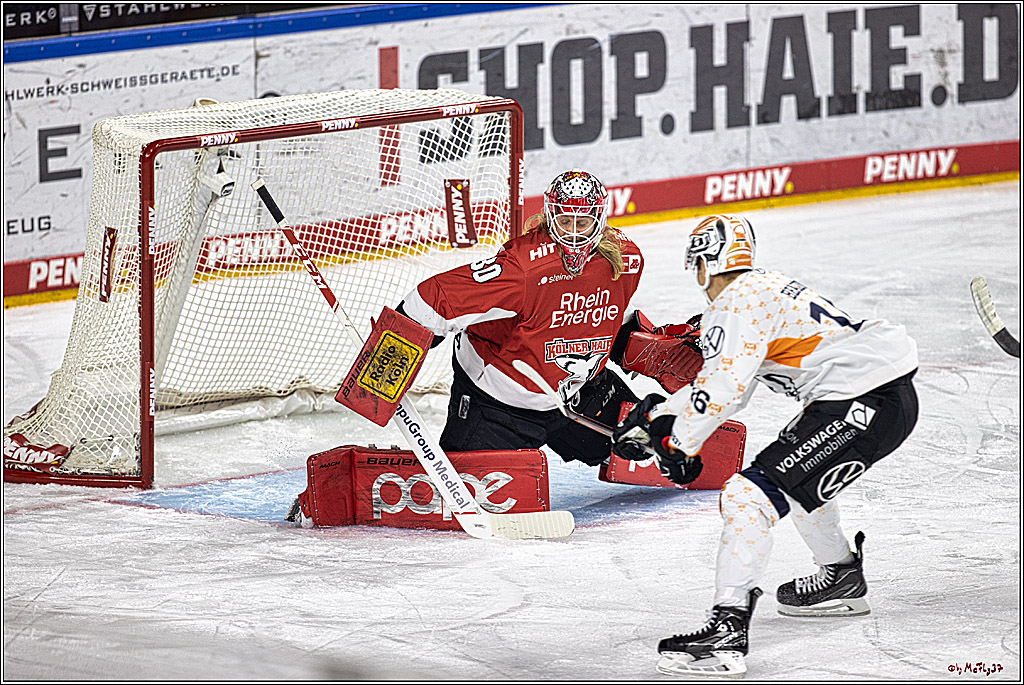 PENNY DEL 1. Koelner Haie - Grizzlys Wolfsburg; Koeln, 28.11.2023