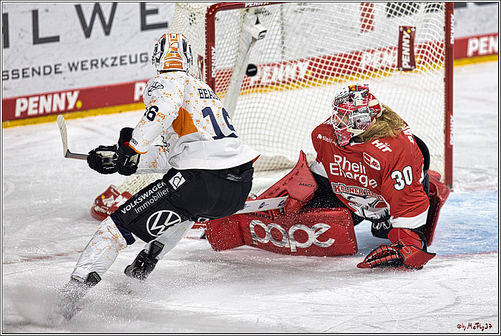 PENNY DEL 1. Koelner Haie - Grizzlys Wolfsburg; Koeln, 28.11.2023