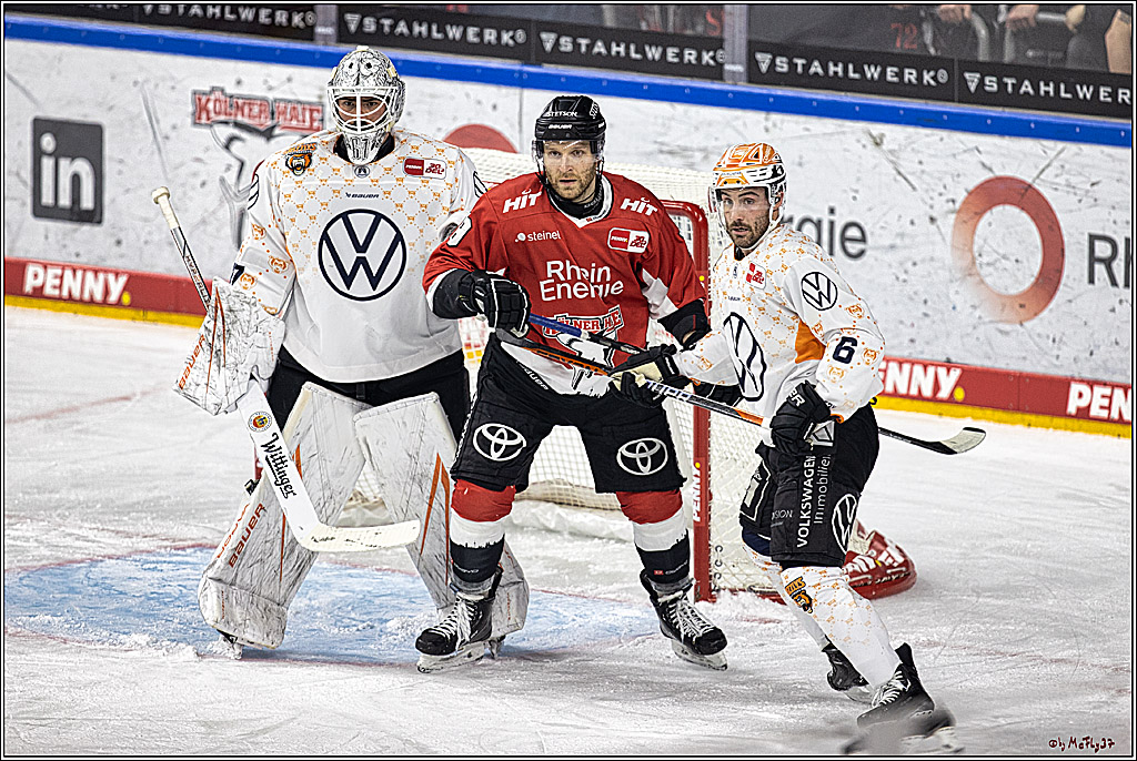 PENNY DEL 1. Koelner Haie - Grizzlys Wolfsburg; Koeln, 28.11.2023