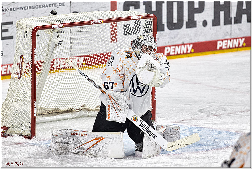 PENNY DEL 1. Koelner Haie - Grizzlys Wolfsburg; Koeln, 28.11.2023
